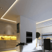 100 metara NEON LED Traka "Rixme" - Zoro