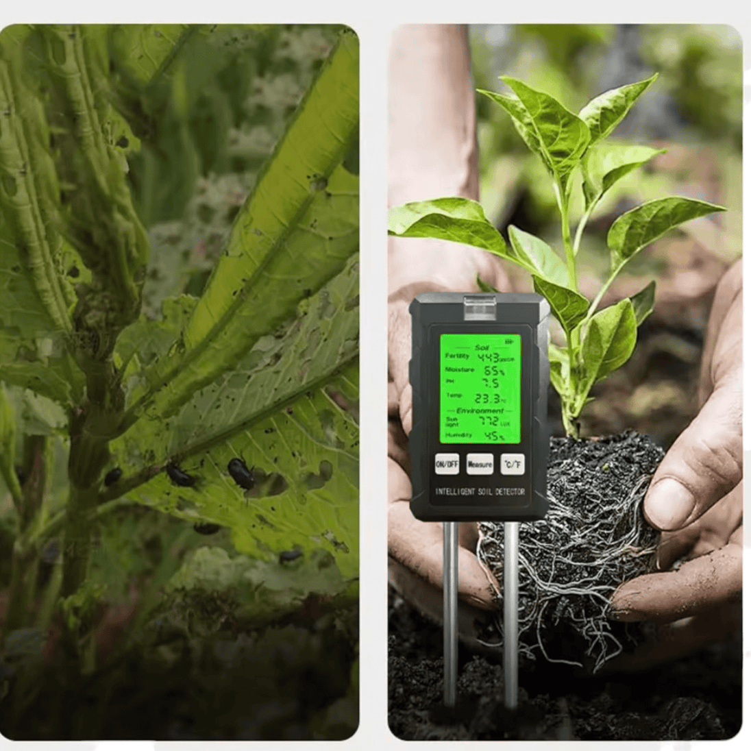 6u1 Pametni Tester za Tlo - Zoro