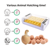 Automatski Inkubator za Jaja (24 jaja) - Zoro