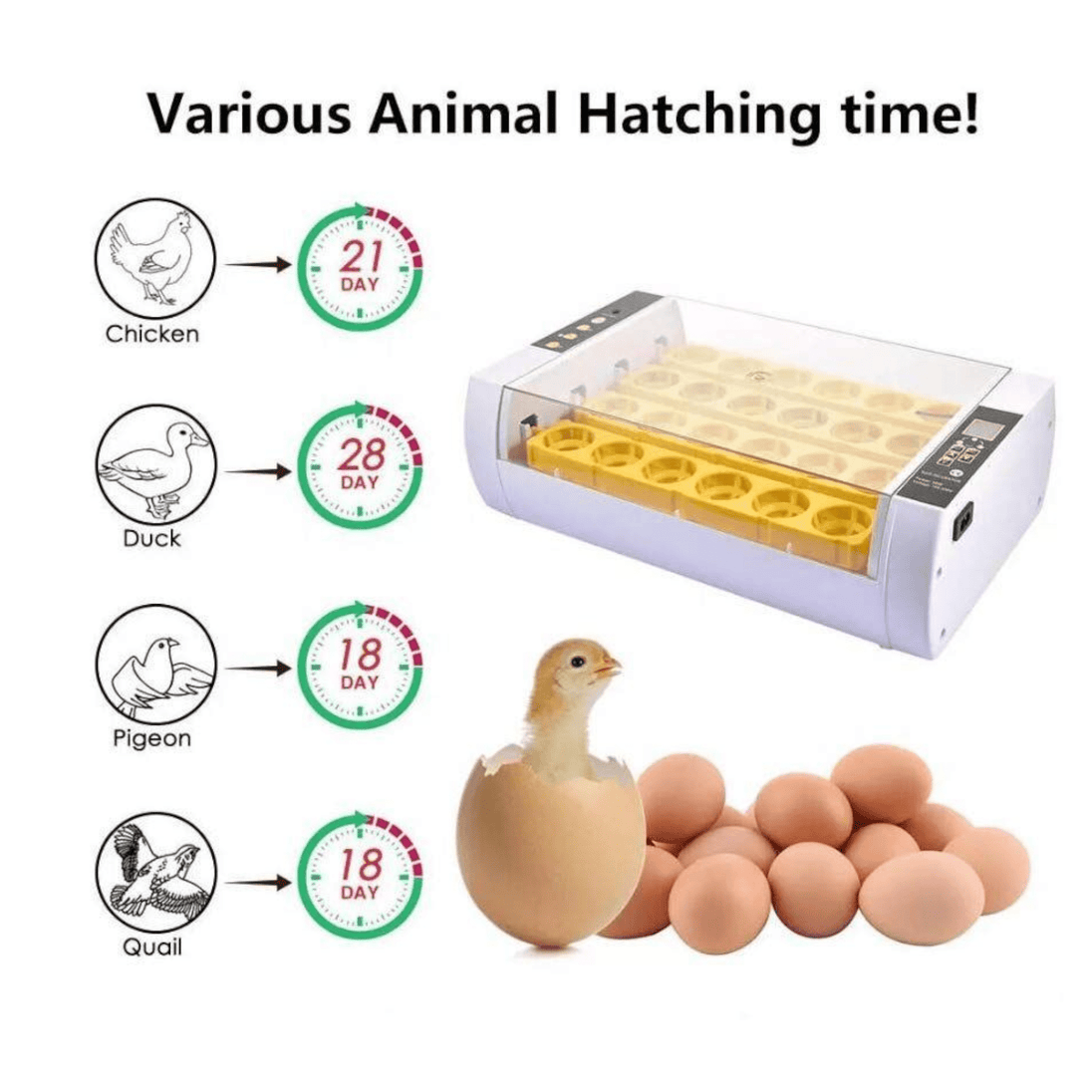 Automatski Inkubator za Jaja (24 jaja) - Zoro
