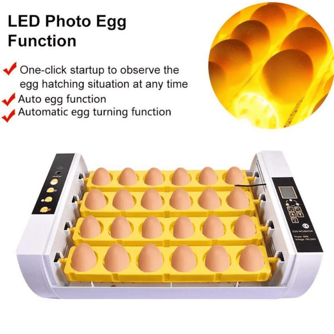 Automatski Inkubator za Jaja (24 jaja) - Zoro