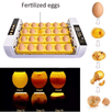 Automatski Inkubator za Jaja (24 jaja) - Zoro