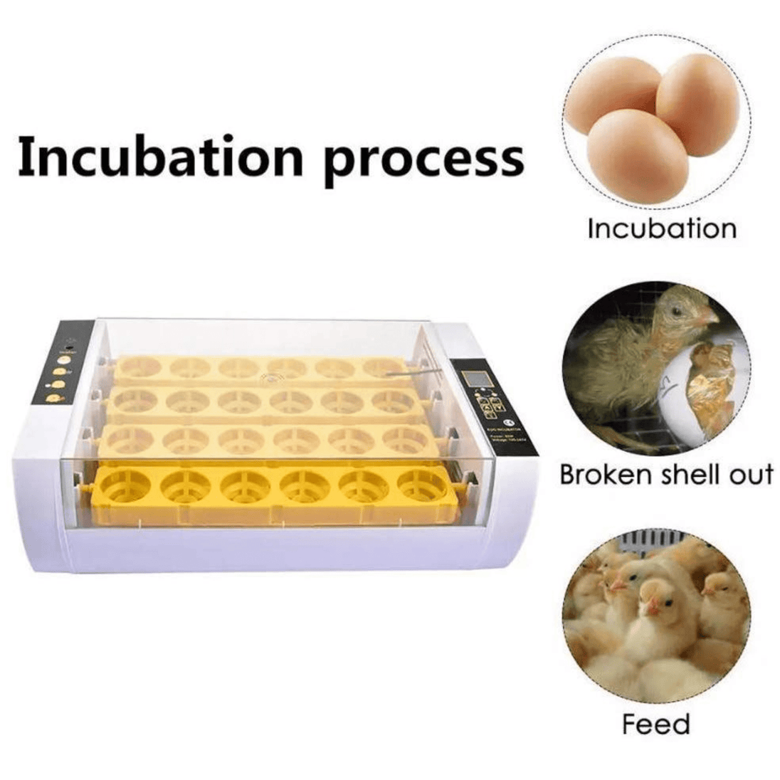 Automatski Inkubator za Jaja (24 jaja) - Zoro