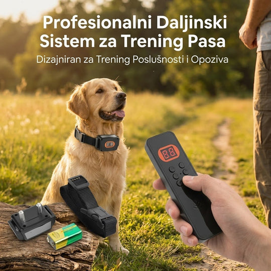 Električna Ogrlica za Dresuru Pasa "MT-68" - Zoro