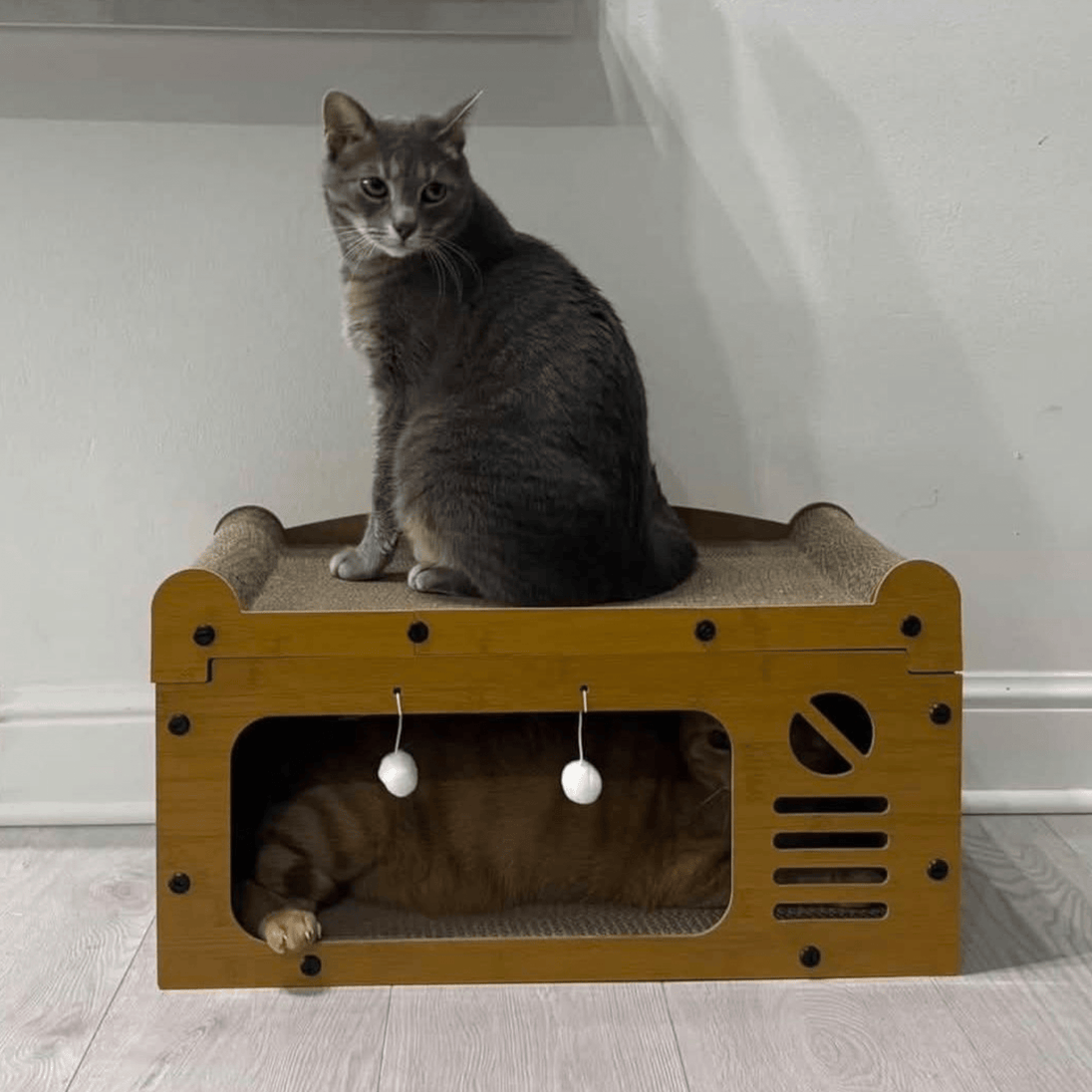 Kućica i Grebalica za Mačke - Zoro