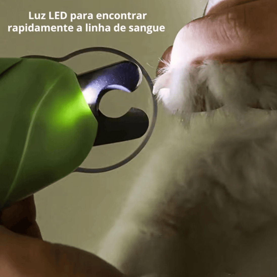 LED makaze za nokte kućnih ljubimaca - Zoro