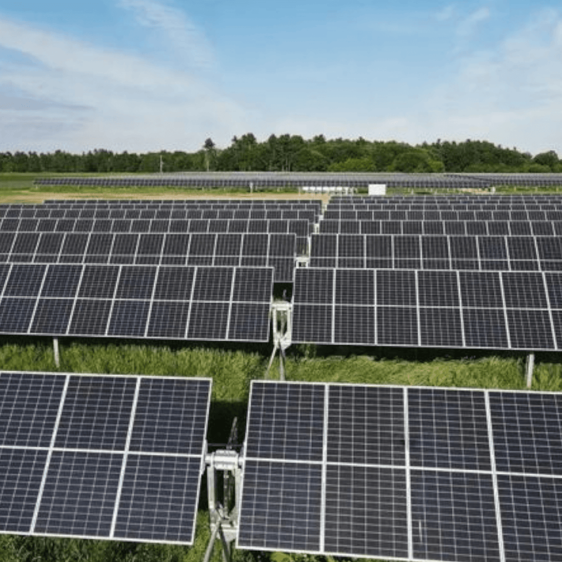 Rxin Mono Solarni Paneli - Zoro