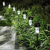 Set od 10 Komada Solarnih Lampi - White - Zoro