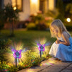 Solarna LED Lampa u Obliku Leptira - Zoro