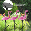 Solarne Lampe Flamingo (Set od 3 Komada) - Zoro
