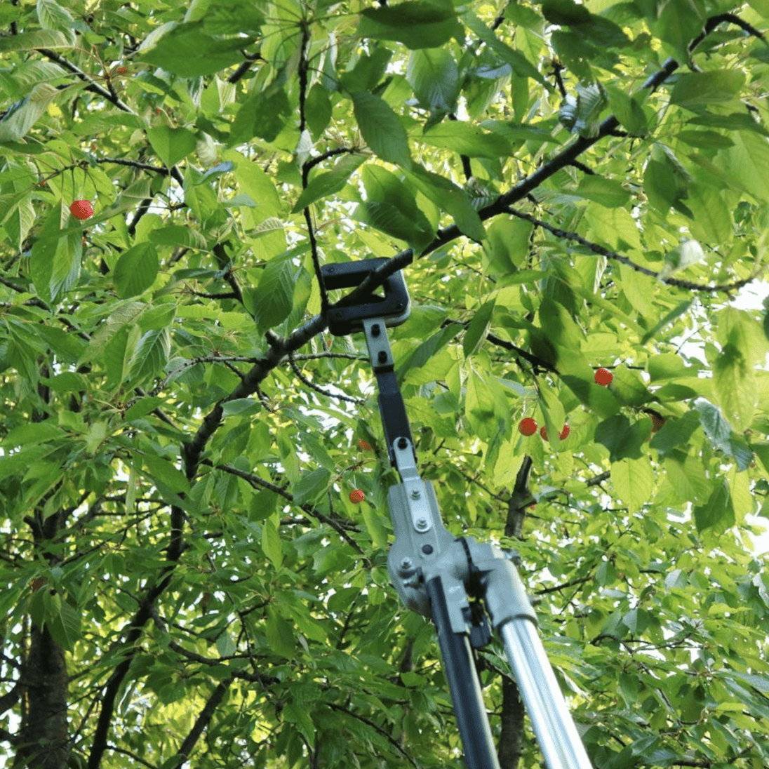 Tresač za voće – nastavak za trimer - Zoro