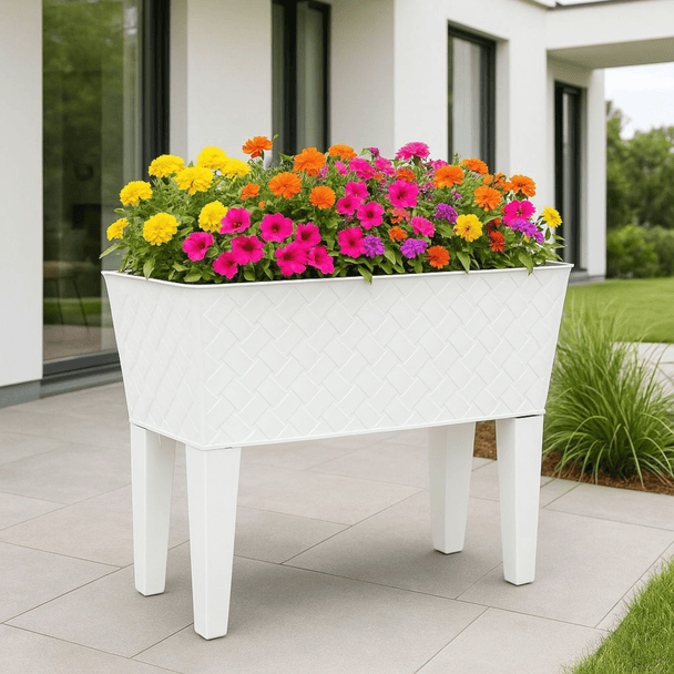 Žardinjera Ratan - Zoro