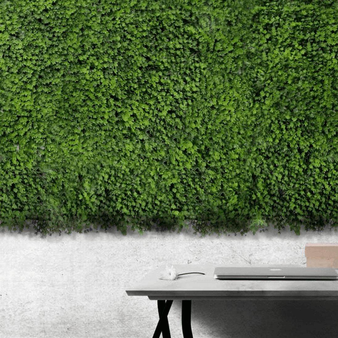 Zidni paneli od umjetne trave "Bonsai" - Zoro